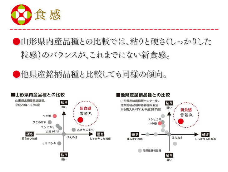 【お試し★10%OFF】米 5kg 送料無料 令和元年産 山形県産 雪若丸5kg 精米 ※一部地域は別途送料追加 お米 コメ ryy0501