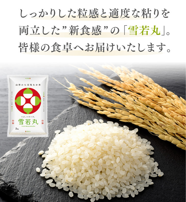 【100人シェア買いでお得】米 10kg 令和4年産 山形県産 雪若丸10kg(5kg×2)【超得ハイパーSALE】