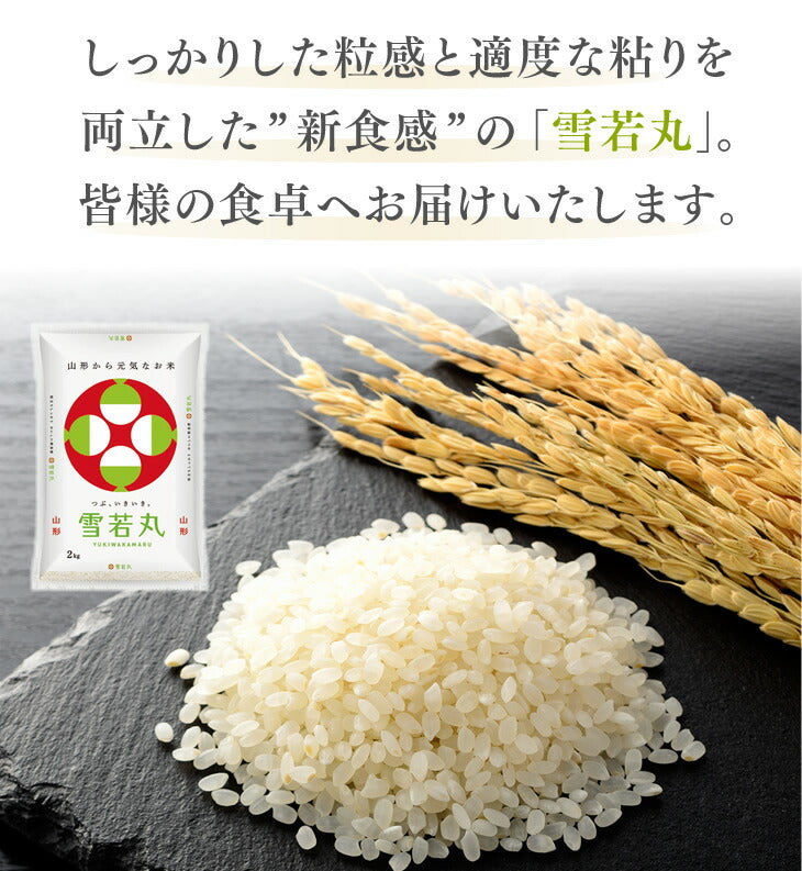 【お試し★10%OFF】米 5kg 送料無料 令和元年産 山形県産 雪若丸5kg 精米 ※一部地域は別途送料追加 お米 コメ ryy0501