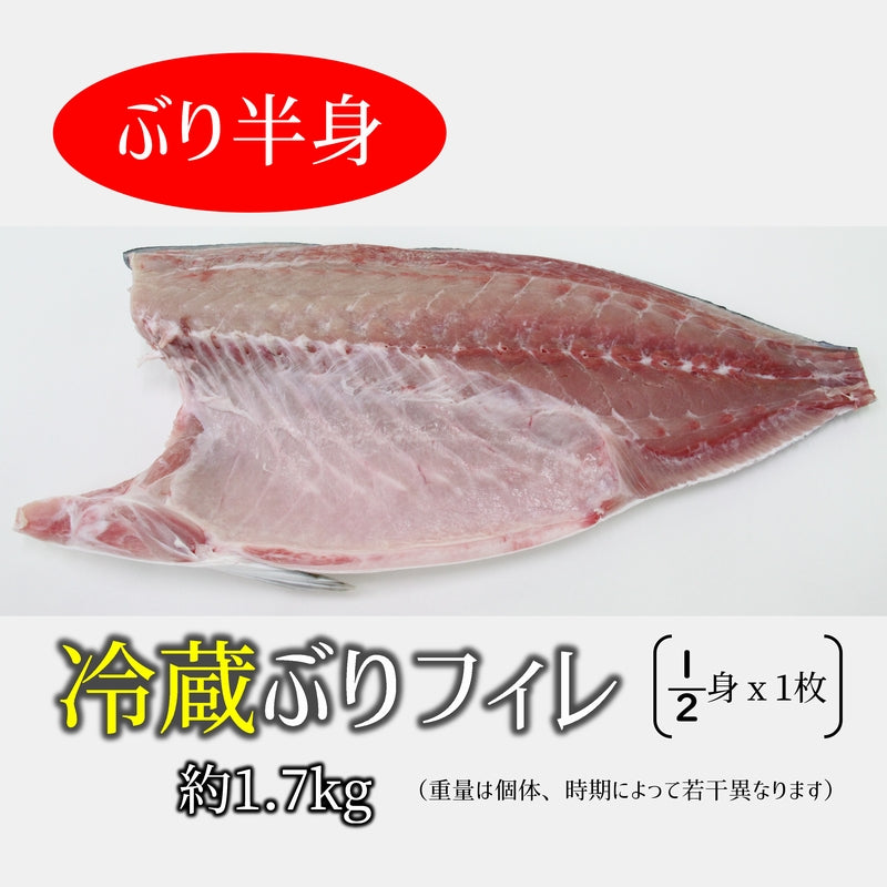 鹿児島産ぶり 半身（約1.7kg）冷蔵