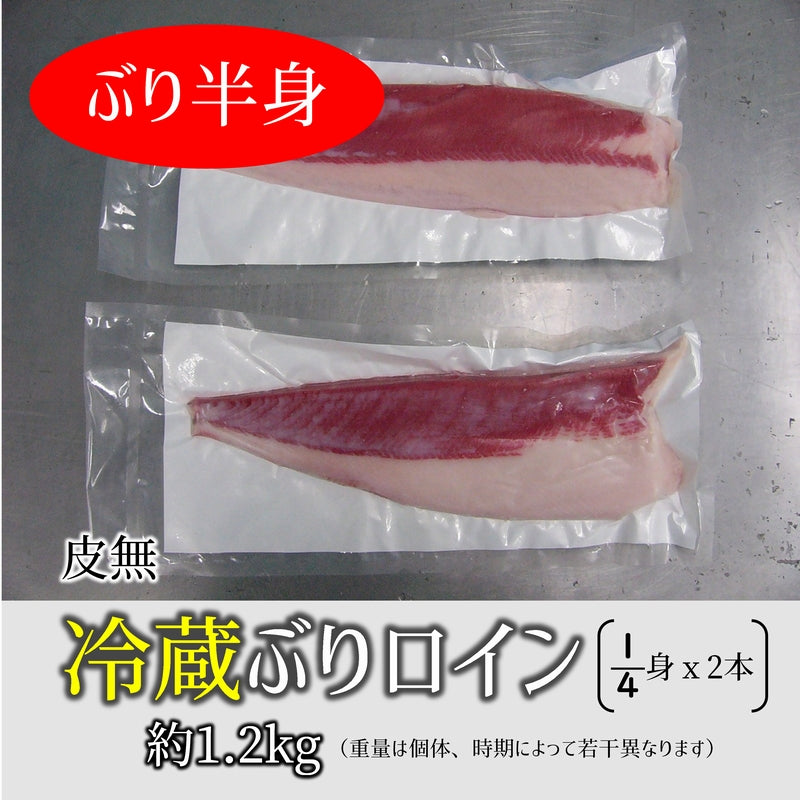 鹿児島産ぶり 柵2本（約1.2kg）冷蔵