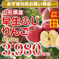 りんご 送料無料 山形県産 早生ふじ  お買得品 約10kg ※一部地域は別途送料