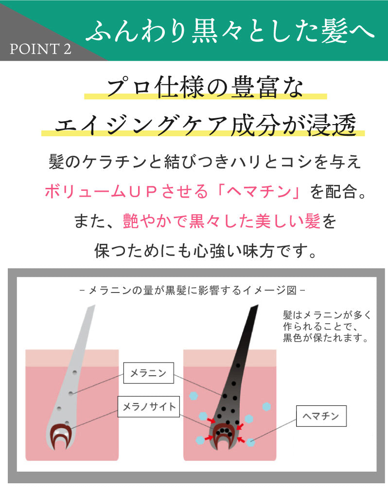 サロン専売品＜美容師が監修した髪のエイジングケア ＞ ボリュームアップ シャンプー＆ヘアパックセット/ サロン専売品