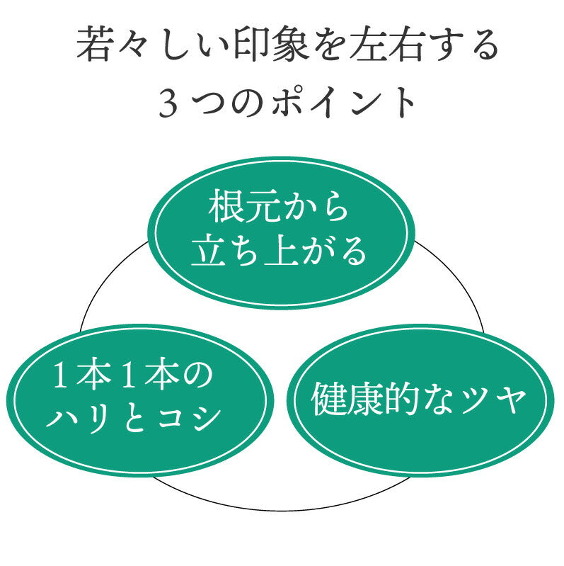 【美容室専売品】 お得な3本セット★ボリュームアップ ヘアパック（240g×3本）美容師が提案するエイジングケアヘアパック