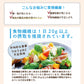 難消化性デキストリン (スーパー即溶顆粒) 2kg