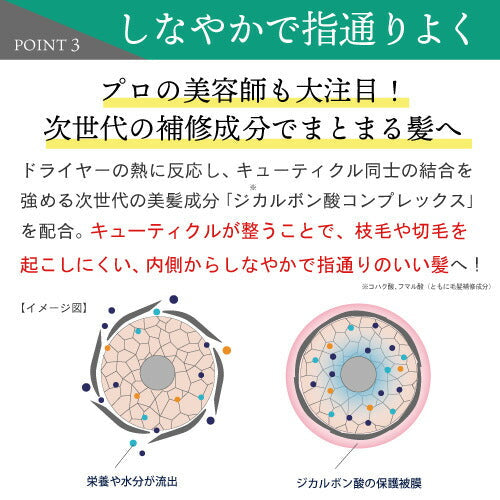 サロン専売品＜美容師が監修した髪のエイジングケア ＞ ボリュームアップ シャンプー＆ヘアパックセット/ サロン専売品