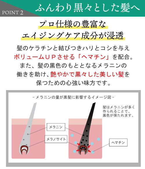 【美容室専売品】 お得な3本セット★ボリュームアップ ヘアパック（240g×3本）美容師が提案するエイジングケアヘアパック