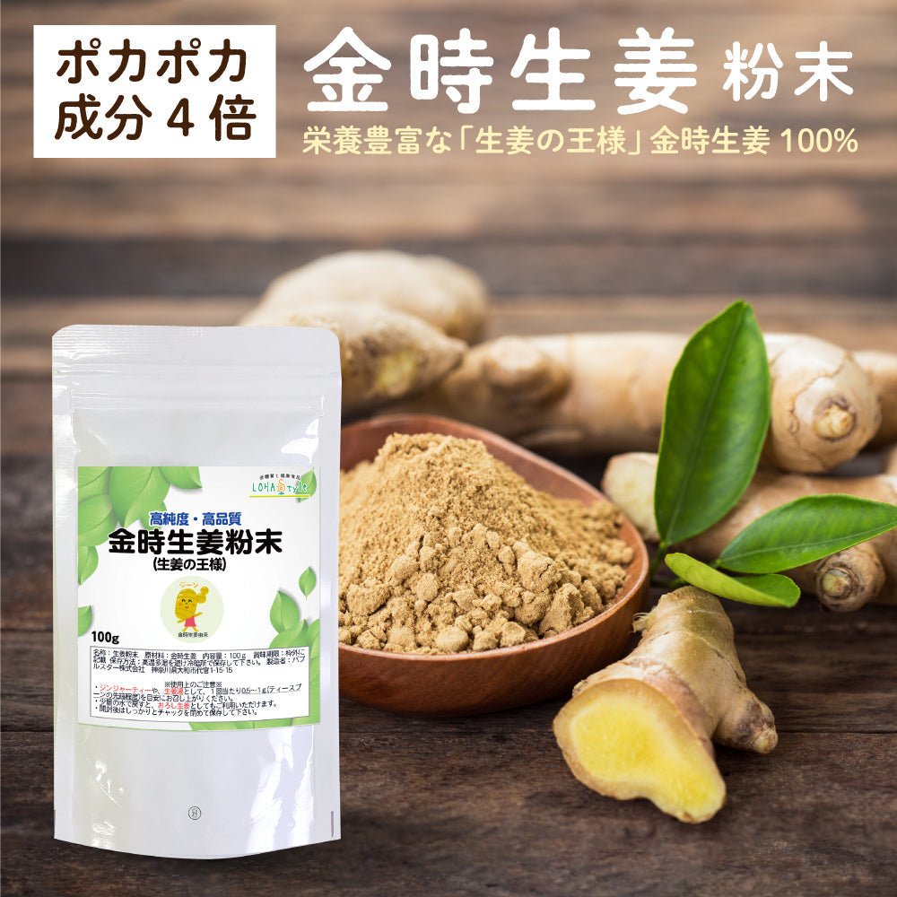 生姜 金時生姜 粉末 100g