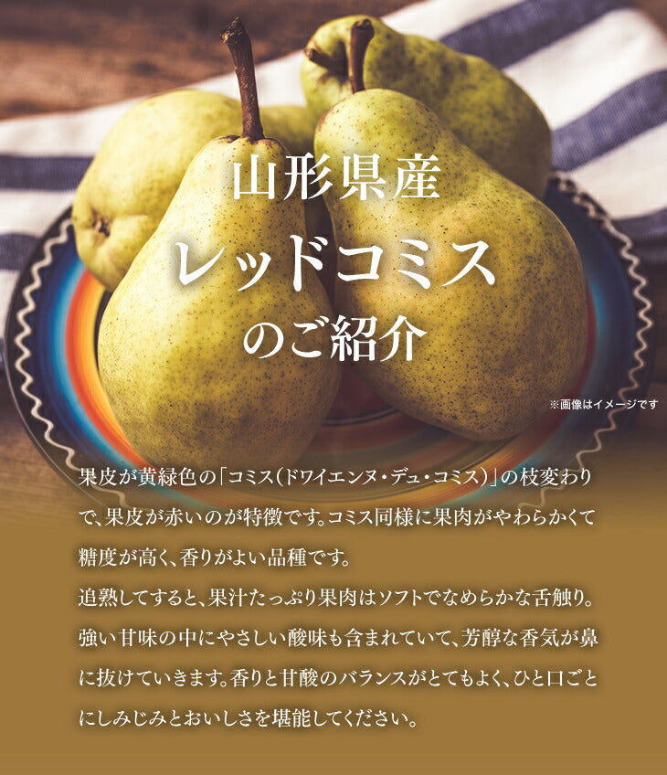 訳あり 西洋梨 山形県産レッド・コミス約5kg(玉数おまかせ) 送料無料※一部地域は別途送料追加