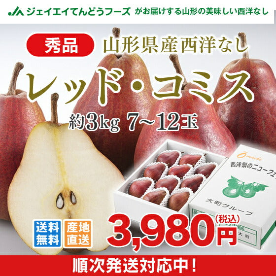 西洋梨 山形県産レッド・コミス約3kg(7-12玉) 送料無料※一部地域は別途送料追加