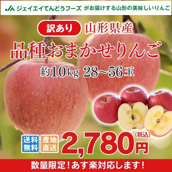 訳あり りんご 山形県産 品種おまかせりんご約10kg(約28玉〜56玉) 送料無料※九州・沖縄・一部離島を除く(15)