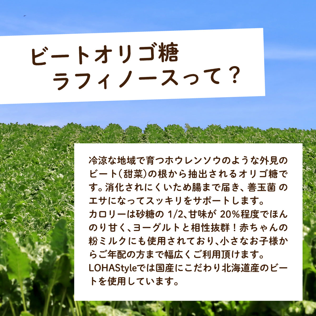 ラフィノース ビートオリゴ糖 500g