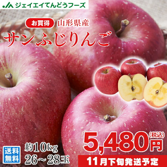 お買得品 ○秀品 大玉 山形県産サンふじりんご約10kg　送料無料※一部地域は別途送料 t16