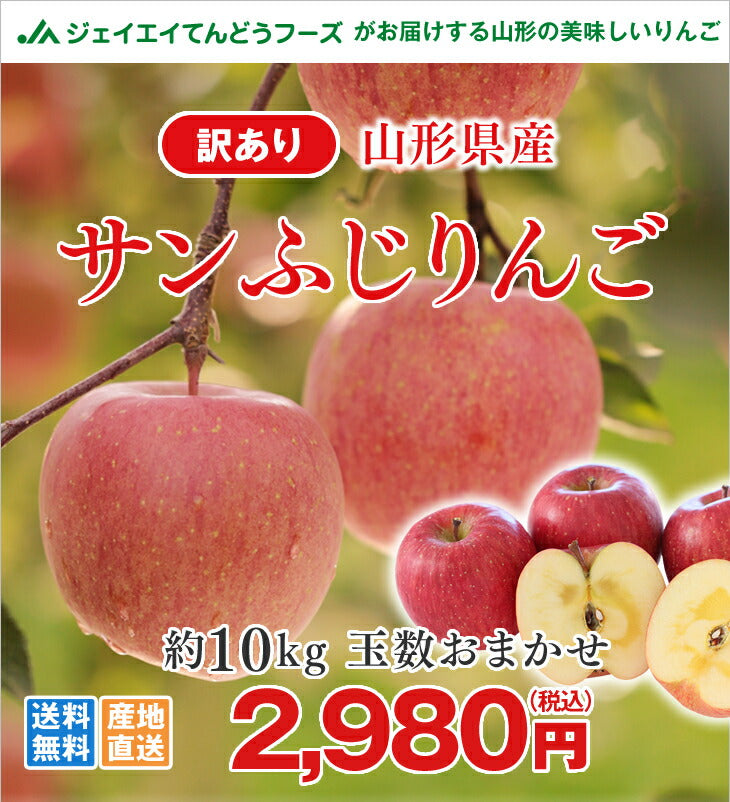訳あり りんご サンふじ 10kg 送料無料 山形県産 約10kg(28〜56玉) ※一部地域は別途送料追加 フルーツ 果物 サンふじ ap13