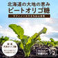 ラフィノース ビートオリゴ糖 500g