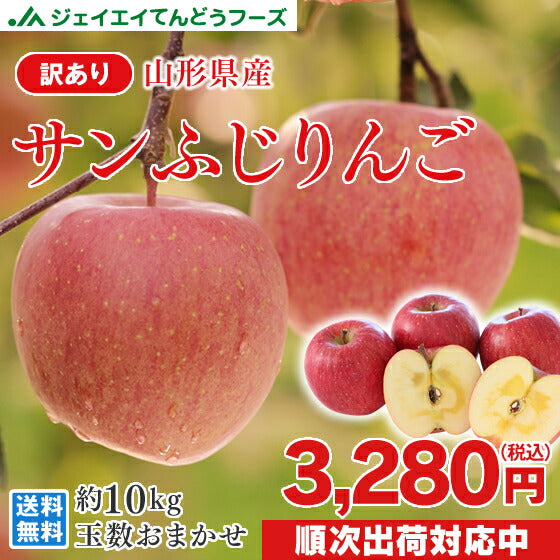 訳あり りんご 10kg 送料無料 山形県産 りんご 約10kg(28〜56玉) ※一部地域は別途送料追加 フルーツ 果物 サンふじ ap13