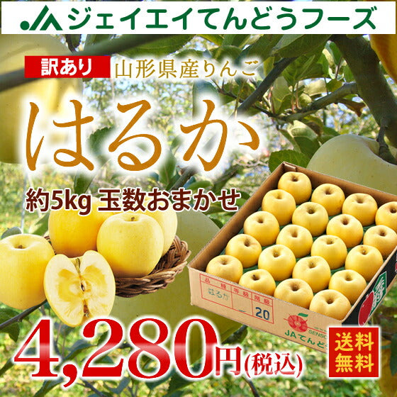 訳あり りんご はるか 山形県産 約5kg(玉数おまかせ）送料無料※一部地域は別途送料