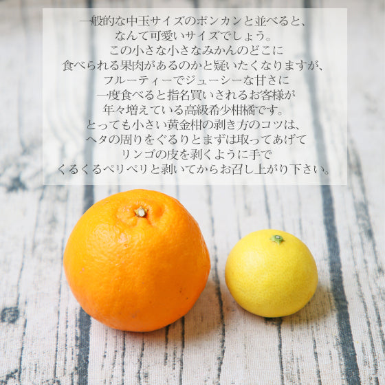 黄金柑　5kg