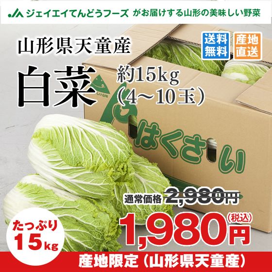 野菜 白菜 約15kg(4〜10個) 山形県天童産 送料無料 ※一部地域は別途送料追加