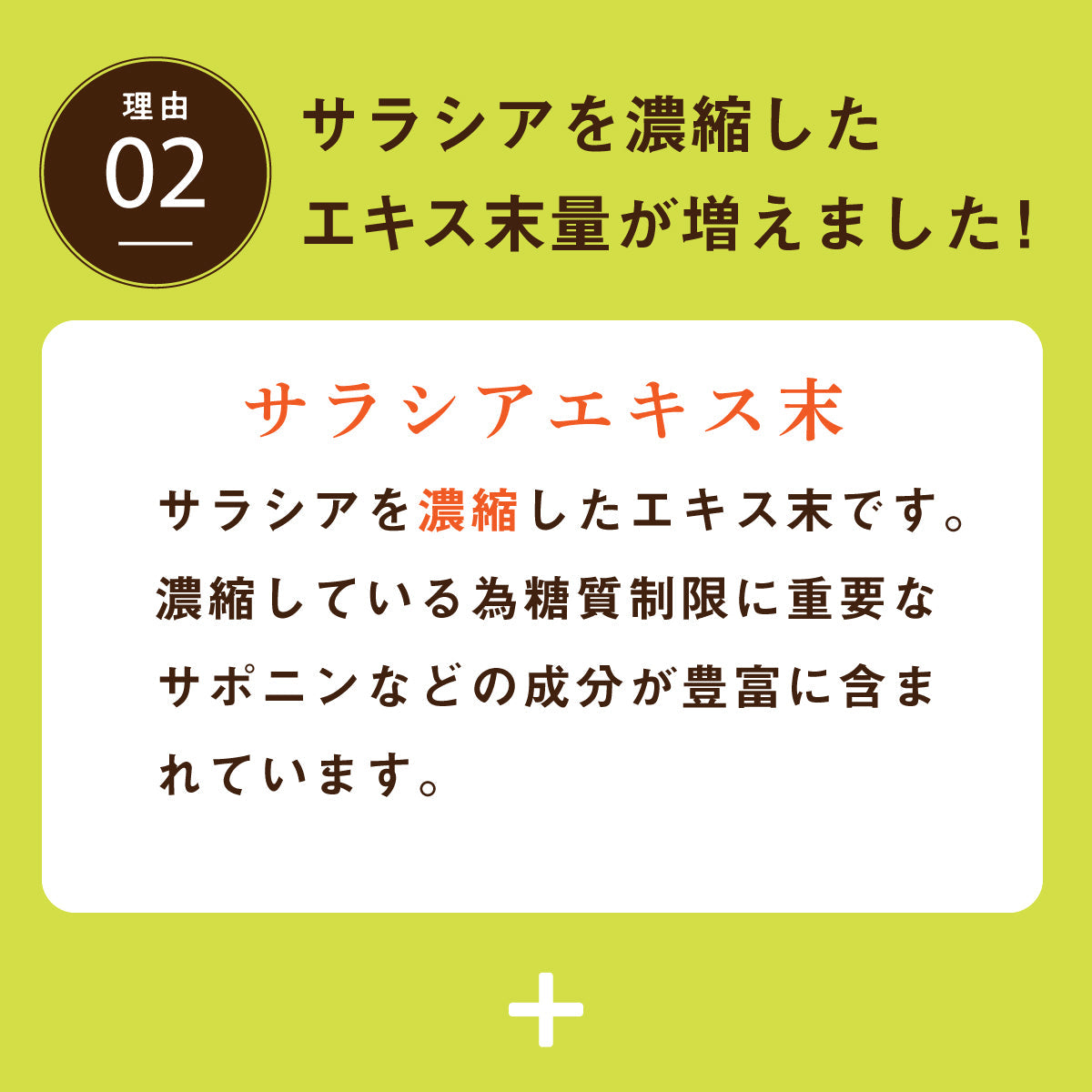 糖質制限サプリ サラシアpremium 180粒 サラシア346.5mg/粒 (サラシアエキス末198mg