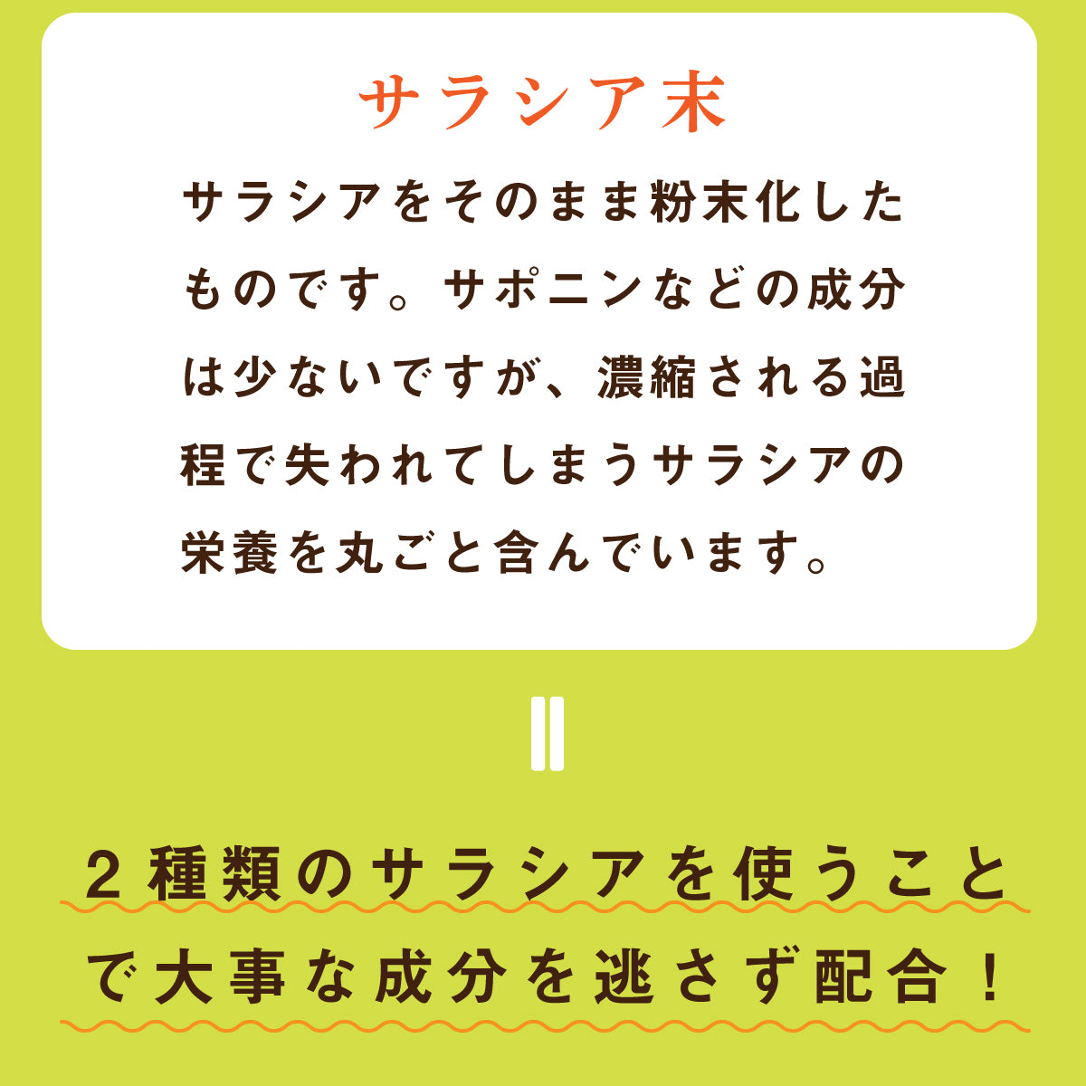 糖質制限サプリ サラシアpremium 180粒 サラシア346.5mg/粒 (サラシアエキス末198mg