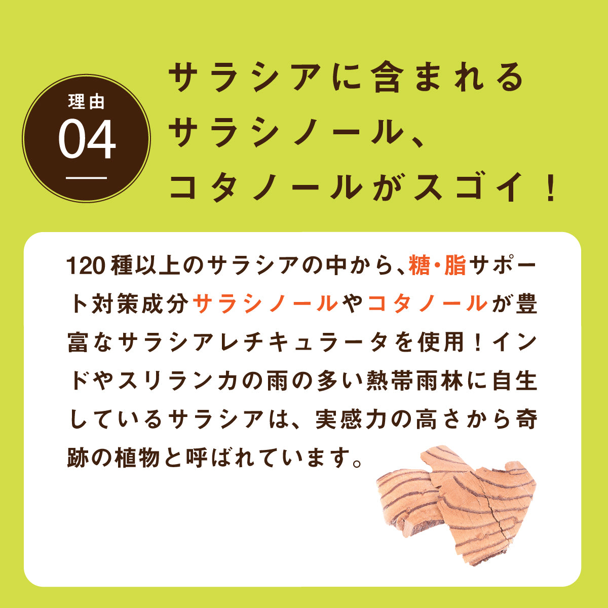糖質制限サプリ サラシアpremium 180粒 サラシア346.5mg/粒 (サラシアエキス末198mg