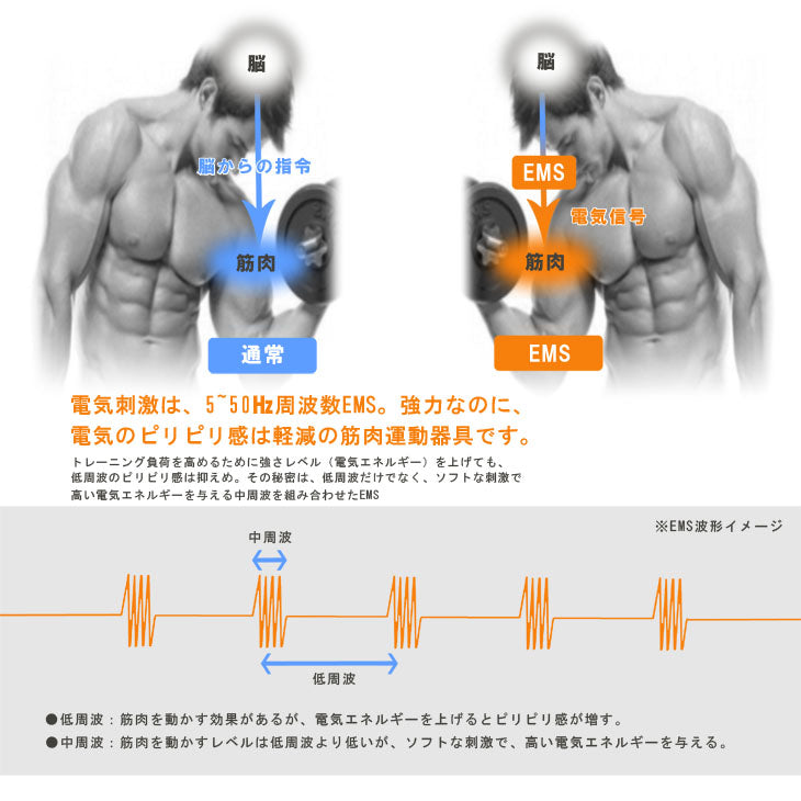 【5人シェア買いでお得】アクティブ パッド EMS 腹筋ベルト　貼る 全身フィットネス
