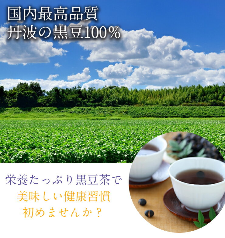 【限定クーポンで20%OFF】100包 丹波産100％！黒豆茶 どっさり