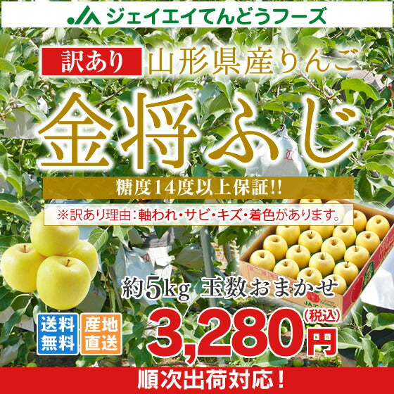 りんご 送料無料 訳あり 山形県産ふじりんご(金将ふじ) 約5kg玉数おまかせ ※一部地域は別途送料 ご家庭用 黄色ふじ