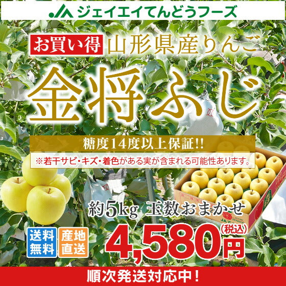 りんご 送料無料 お買い得品 山形県産ふじりんご(金将ふじ) 約5kg玉数おまかせ ※一部地域は別途送料 t37 ご家庭用 黄色ふじ JAてんどう