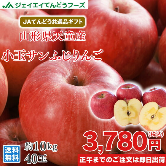 りんご ギフト 送料無料 小玉 サンふじ 秀品 約10kg  ※一部地域は別途送料 ap23