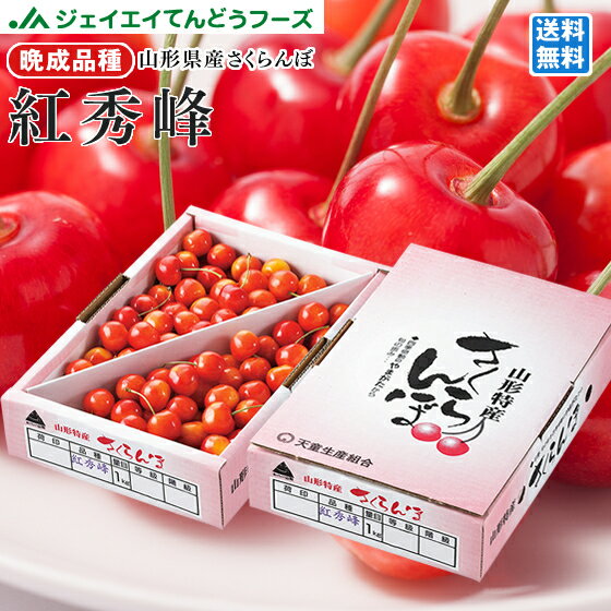 早期予約 さくらんぼ 紅秀峰 ご家庭用 山形県産さくらんぼ（紅秀峰）約１kgバラ詰め