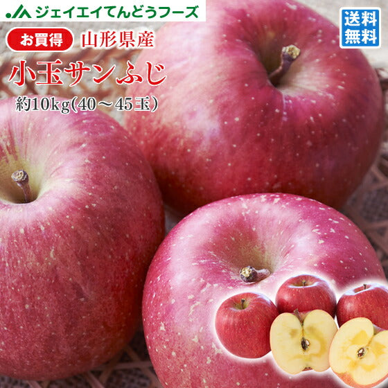 お買得品 ○秀品 山形県産サンふじりんご約10kg 送料無料※一部地域は別途送料 ap16