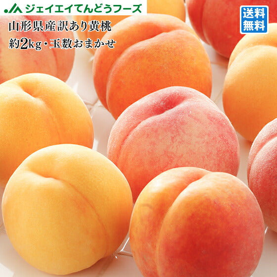 訳あり 山形県産　黄桃品種おまかせ　約2kg(玉数おまかせ) ※一部地域は別途送料果物 ※8月下旬より順次出荷予定 pc06