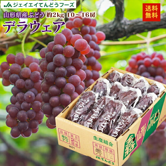 【早期予約】贈答用 山形県産ハウスデラウェア約2kg(10〜16房) ※一部地域は別途送料 gr01