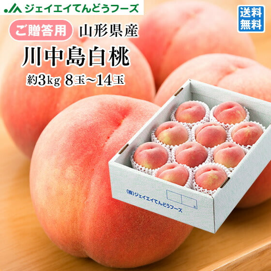 早期予約 贈答用 山形県産白桃 川中島 約3kg(8〜14玉) 果物　フルーツ　 ※一部地域は別途送料 pc03