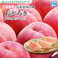 早期予約 贈答用 山形県産 桃 もも おどろき　約3kg(8〜14玉)　pc08