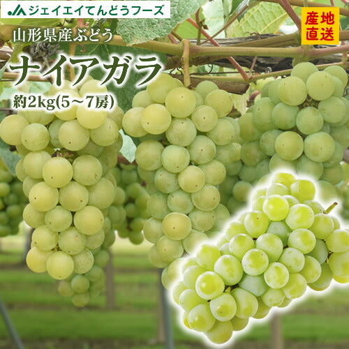 ぶどう 山形県産ナイアガラ約2kg(5〜7房) 送料無料※九州・沖縄・一部離島は別途送料 gr02