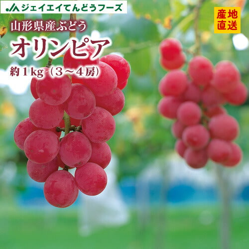 贈答用 山形県産オリンピア約1kg・3〜4房 送料無料※九州・沖縄・一部離島は別途送料 gr04