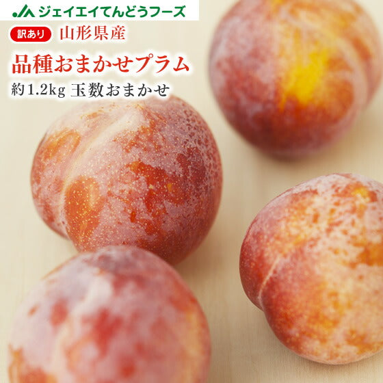 【早期予約】訳あり  山形県産 約1.2kg(品種おまかせ） ご家庭用 ※一部地域は別途送料追加　pl02