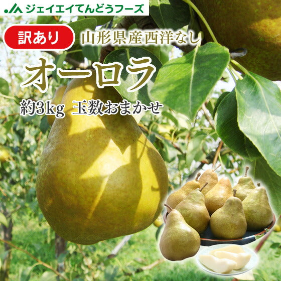 【訳ありお買い得品★西洋梨】山形県産オーロラ約3kg(玉数おまかせ)【送料無料】※一部地域は別途送料追加