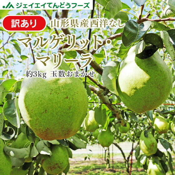 【訳ありお買い得品★西洋梨】山形県産マルゲリット・マリーラ約3kg(玉数おまかせ)【送料無料】※一部地域は別途送料追加