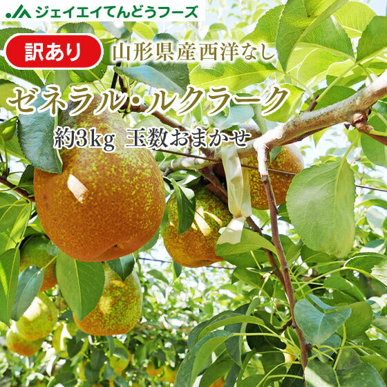 【訳ありお買い得品★西洋梨】山形県産ゼネラルレクラーク約3kg(玉数おまかせ)【送料無料】※一部地域は別途送料追加