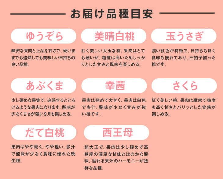 贈答用 秀品 山形県産　白桃 品種おまかせ 約5kg 12〜13玉ギフト 送料無料※一部地域は別途送料 即日出荷