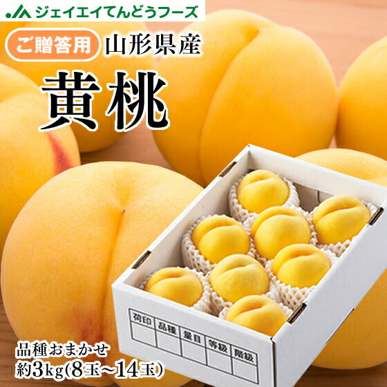 贈答用　山形県産 黄桃 約3kg(8〜14玉) 秀品 ギフト ※9月上旬より順次出荷予定 pc12