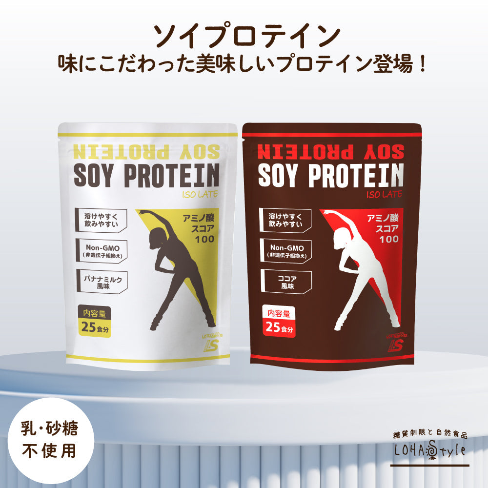 カカオ味　大豆プロテイン ソイプロテイン 500g