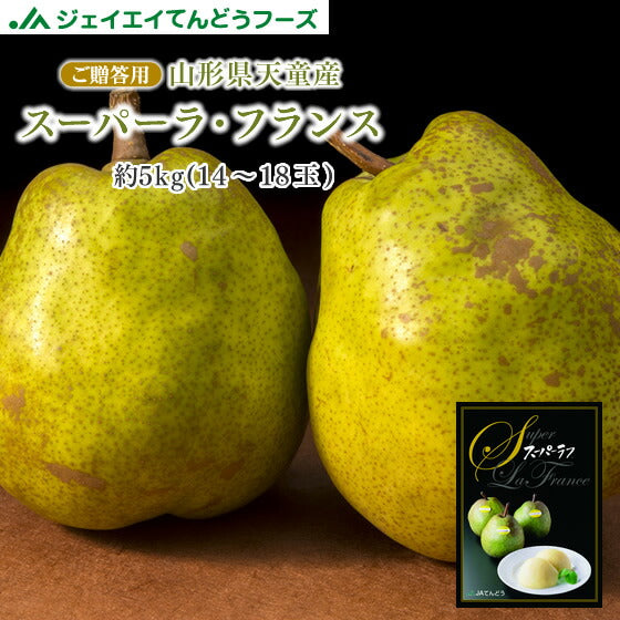 予約商品 ギフト 送料無料山形県天童産洋梨スーパーラフランス約5kg(2L〜4L・16〜18玉入り)【のし対応】【お年賀】【送料無料】※九州・沖縄・一部離島を除く rf16