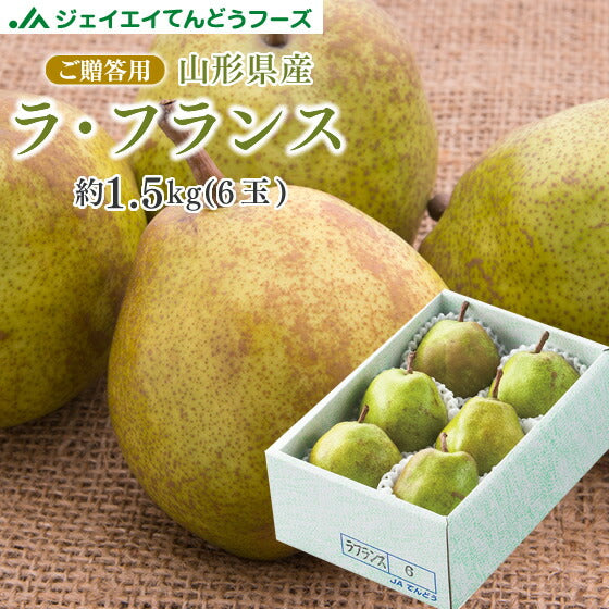 果物 ギフト 送料無料 山形県産 洋梨 ラフランス 約1.5kg(2L〜L・6玉入り) のし対応 お歳暮 ※一部地域は別途送料追加 rf17