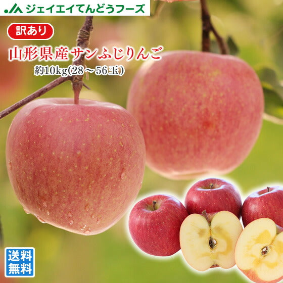 りんご　訳あり 約5kg×2箱（計10kg） 山形県産 『サンふじ』 りんご ap08