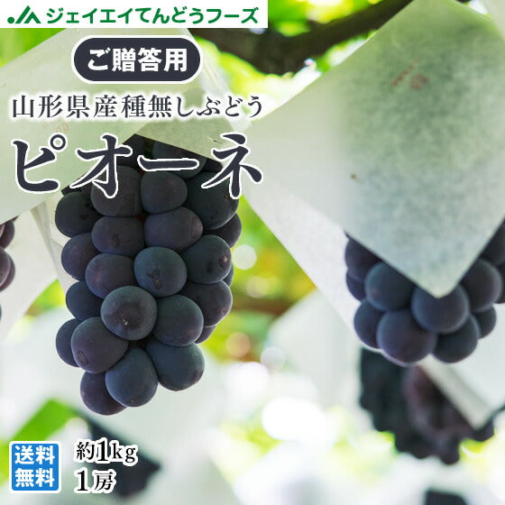秀品 ぶどう 送料無料 山形県産ピオーネ 約1kg(1房)  果物 フルーツ ※一部地域は別途送料追加